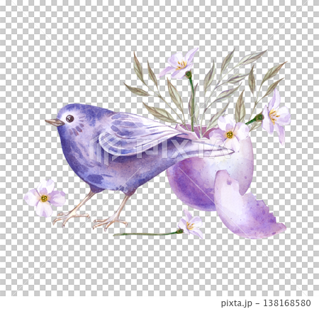 A spring composition with a songbird, a broken egg with branches and white flowers. Watercolor illustration in lilac tones on an isolated background. Festive drawing for Easter holiday decoration 138168580