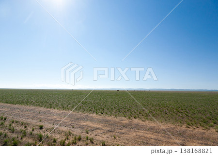 Dirt road in mongolian steppe, Gobi desert landscape, Mongolia Dirt road in mongolian steppe, Gobi desert landscape, Mongolia 138168821