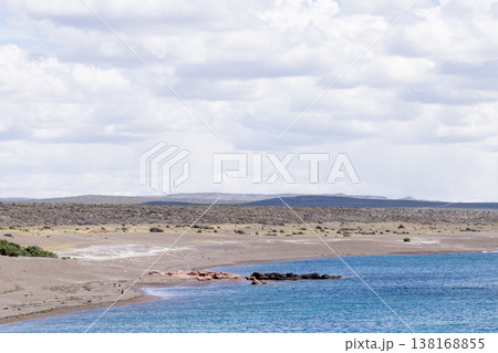 Punta Tombo beach day view, Patagonia, Argentina 138168855