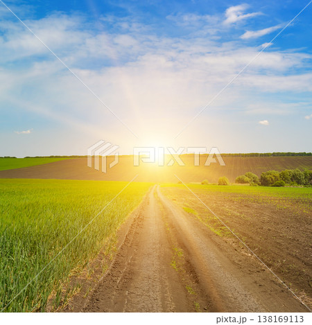 Scenic Farmland View With Dirt Path Leading Into Sunrise 138169113