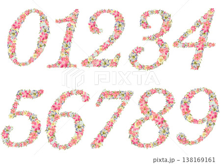 ボタニカル数字セット 0-9 押し花素材 繊細なセリフ体 ピンクとブルーの数字 背景透過PNG 138169161