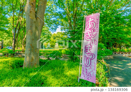 東京　府中市　府中市郷土の森博物館　けやき並木 138169306