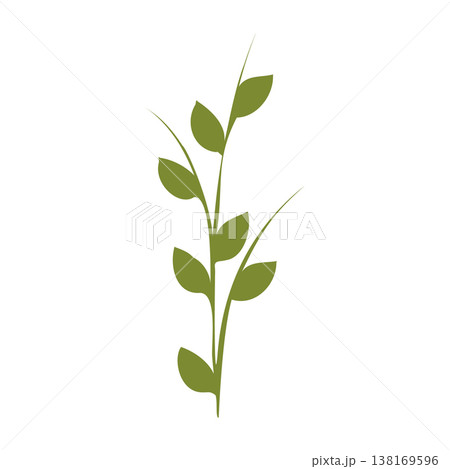 A simple graphic depicts a single green plant stem rising vertically. It has five oval-shaped green leaves emerging from opposite sides along its length. 138169596