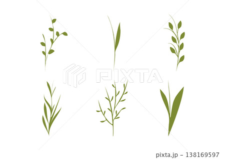 Six unique illustrations of simple green plant stems and leaves are presented. 138169597