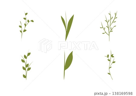 Six distinct green plant stems with small leaves are featured, showcasing various botanical forms. These graphic elements are rendered in a minimalist style, suggesting natural growth and freshness. Six distinct green plant stems with small leaves are featured, showcasing various botanical forms. These graphic elements are rendered in a minimalist style, suggesting natural growth and freshness. 138169598