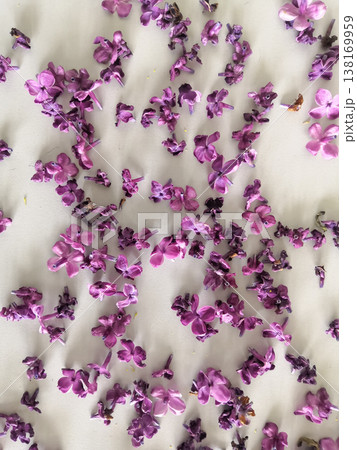Delicate scattered purple lilac flowers and petals creating a beautiful floral pattern on a light surface Delicate scattered purple lilac flowers and petals creating a beautiful floral pattern on a light surface 138169959