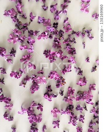 Delicate scattered purple lilac flowers and petals creating a beautiful floral pattern on a light surface Delicate scattered purple lilac flowers and petals creating a beautiful floral pattern on a light surface 138169960
