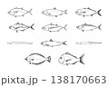 寿司ネタに使われる定番の魚セット 筆ペン線画イラスト ベクター 138170663