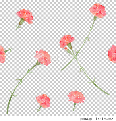 Carnation seamless pattern Carnation seamless pattern 138170862