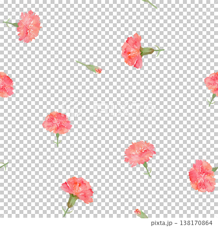 Carnation seamless pattern Carnation seamless pattern 138170864