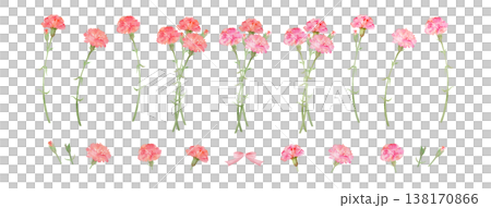 Carnation clip art set Carnation clip art set 138170866