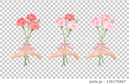 Carnation bouquet set 138170867