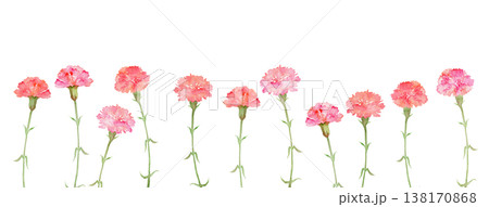 カーネーションのフッターフレーム カーネーションのフッターフレーム 138170868