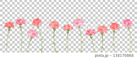 カーネーションのフッターフレーム カーネーションのフッターフレーム 138170868