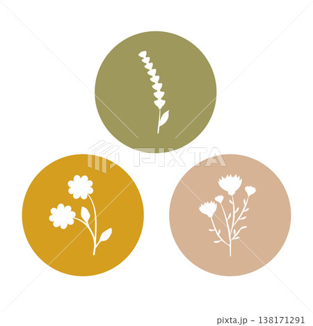 Three unique white flower silhouettes appear within separate colored circles, arranged against a white backdrop. The designs include lavender, small blossoms, and a wild thistle-like plant. Three unique white flower silhouettes appear within separate colored circles, arranged against a white backdrop. The designs include lavender, small blossoms, and a wild thistle-like plant. 138171291