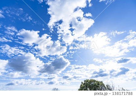 青空と雲と木立 青空と雲と木立 138171788
