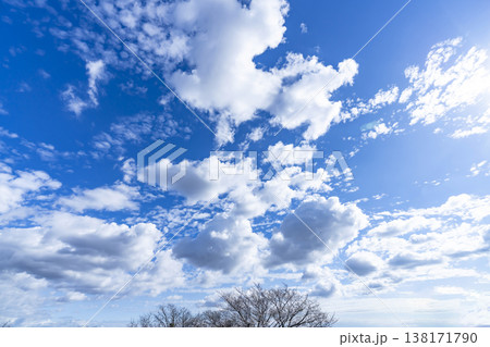 青空と雲と木立 青空と雲と木立 138171790