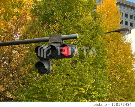 等倍で見た赤信号 138172454