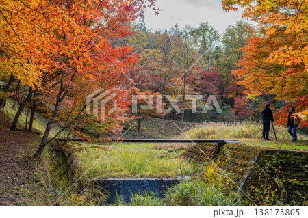 豊田市のタカドヤ湿地の風景(愛知県) 138173805