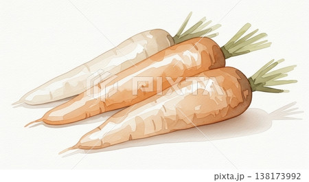 みずみずしく新鮮なニンジンの淡い水彩イラスト 柔らかいタッチのナチュラル野菜素材 138173992