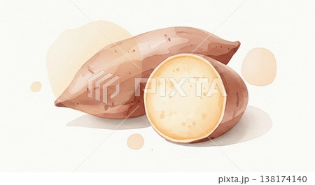 みずみずしく新鮮なサツマイモの淡い水彩イラスト 柔らかいタッチのナチュラル野菜素材　 138174140