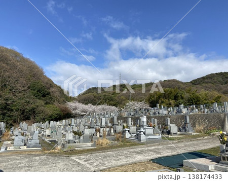 広島県福山市・山手墓地の春の風景と桜並木 広島県福山市・山手墓地の春の風景と桜並木 138174433