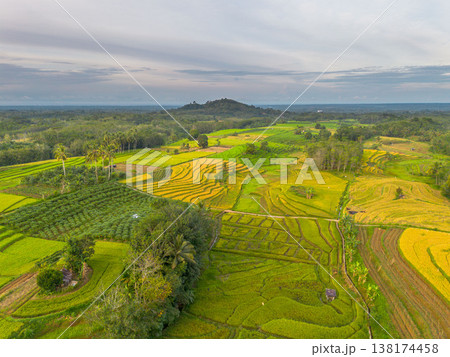 Beautiful morning view in Indonesia, panoramic landscape of rice fields with mountain ranges and clear sky Beautiful morning view in Indonesia, panoramic landscape of rice fields with mountain ranges and clear sky 138174458