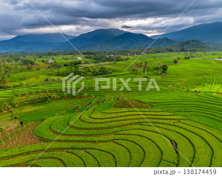 Beautiful morning view in Indonesia, panoramic landscape of rice fields with mountain ranges and clear sky Beautiful morning view in Indonesia, panoramic landscape of rice fields with mountain ranges and clear sky 138174459