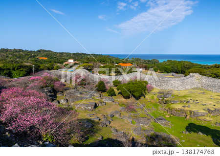 沖縄県国頭郡今帰仁村今泊 世界文化遺産今帰仁城跡の高台から早咲きの琉球寒緋桜と城跡と青い海の眺望 沖縄県国頭郡今帰仁村今泊 世界文化遺産今帰仁城跡の高台から早咲きの琉球寒緋桜と城跡と青い海の眺望 138174768