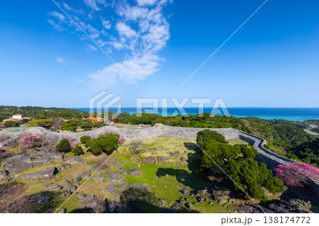 沖縄県国頭郡今帰仁村今泊 世界文化遺産今帰仁城跡の高台から早咲きの琉球寒緋桜と城跡と青い海の眺望 沖縄県国頭郡今帰仁村今泊 世界文化遺産今帰仁城跡の高台から早咲きの琉球寒緋桜と城跡と青い海の眺望 138174772