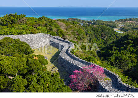 沖縄県国頭郡今帰仁村今泊 世界文化遺産今帰仁城跡の高台から早咲きの琉球寒緋桜と城跡と青い海の眺望 沖縄県国頭郡今帰仁村今泊 世界文化遺産今帰仁城跡の高台から早咲きの琉球寒緋桜と城跡と青い海の眺望 138174776