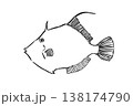カワハギのイラスト 海水魚 食用魚 ベクター 筆ペン線画 横向き 138174790