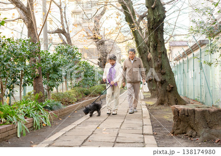 犬と散歩をするシニア夫婦 犬と散歩をするシニア夫婦 138174980