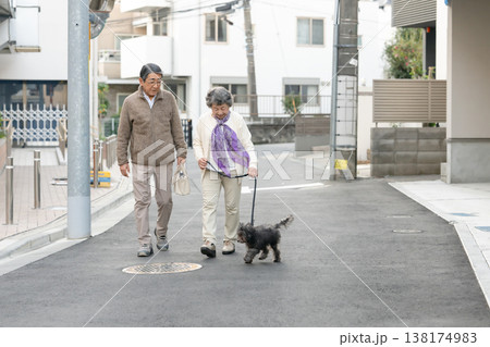 犬と散歩をするシニア夫婦 犬と散歩をするシニア夫婦 138174983