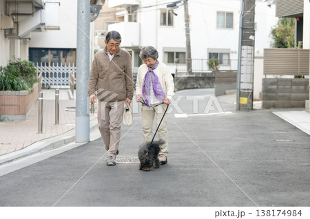 犬と散歩をするシニア夫婦 138174984