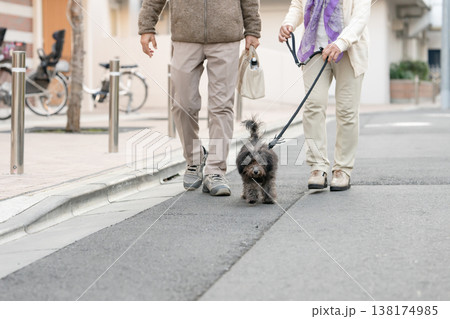 犬と散歩をするシニア夫婦 138174985