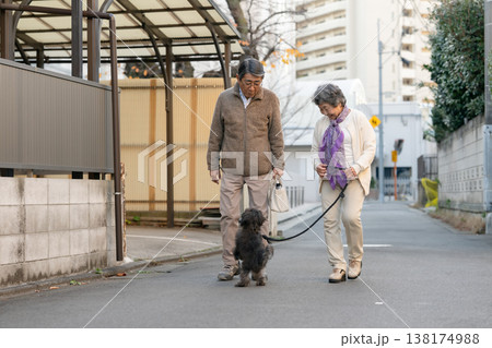 犬と散歩をするシニア夫婦 138174988