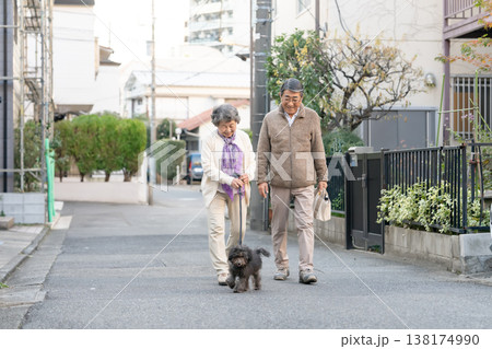 犬と散歩をするシニア夫婦 犬と散歩をするシニア夫婦 138174990