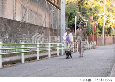 犬と散歩をするシニア夫婦 犬と散歩をするシニア夫婦 138174995