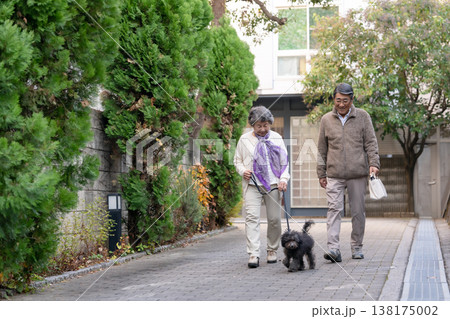 犬と散歩をするシニア夫婦 138175002