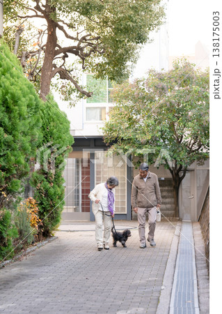 犬と散歩をするシニア夫婦 犬と散歩をするシニア夫婦 138175003