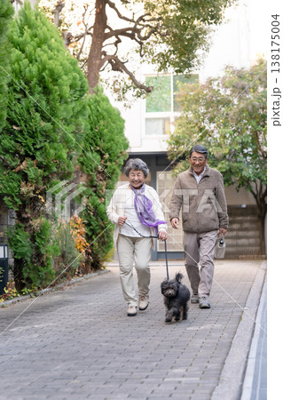 犬と散歩をするシニア夫婦 138175004