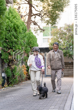 犬と散歩するシニア夫婦 犬と散歩するシニア夫婦 138175005