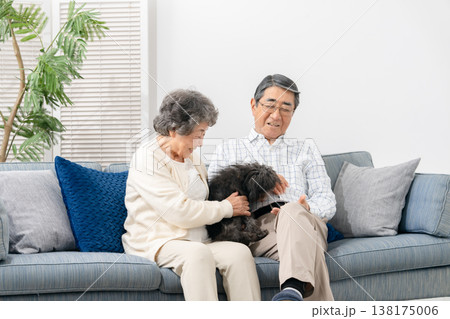 リビングで犬と過ごすシニア夫婦 リビングで犬と過ごすシニア夫婦 138175006