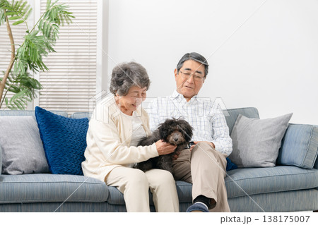 リビングで犬と過ごすシニア夫婦 リビングで犬と過ごすシニア夫婦 138175007