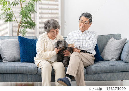 リビングで犬と過ごすシニア夫婦 138175009