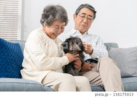 リビングで犬と過ごすシニア夫婦 リビングで犬と過ごすシニア夫婦 138175013