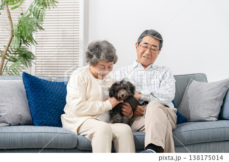 リビングで犬と過ごすシニア夫婦 138175014