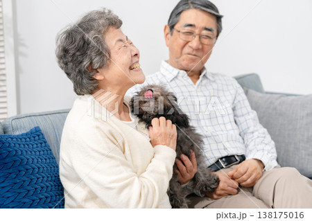 リビングで犬と過ごすシニア夫婦 リビングで犬と過ごすシニア夫婦 138175016