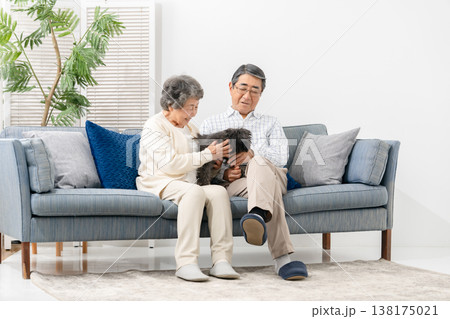 リビングで犬と過ごすシニア夫婦 リビングで犬と過ごすシニア夫婦 138175021